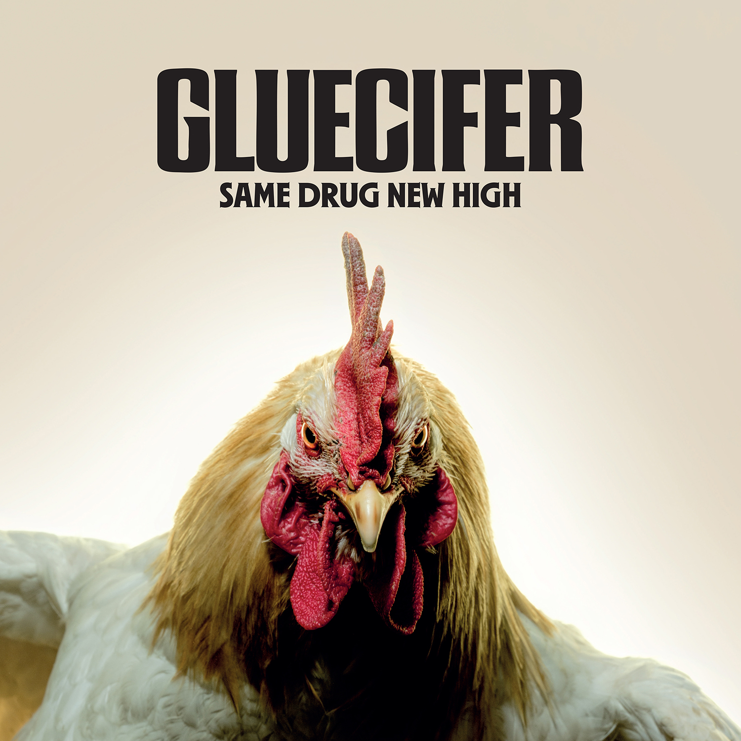 Gluecifer – Same Drug New High